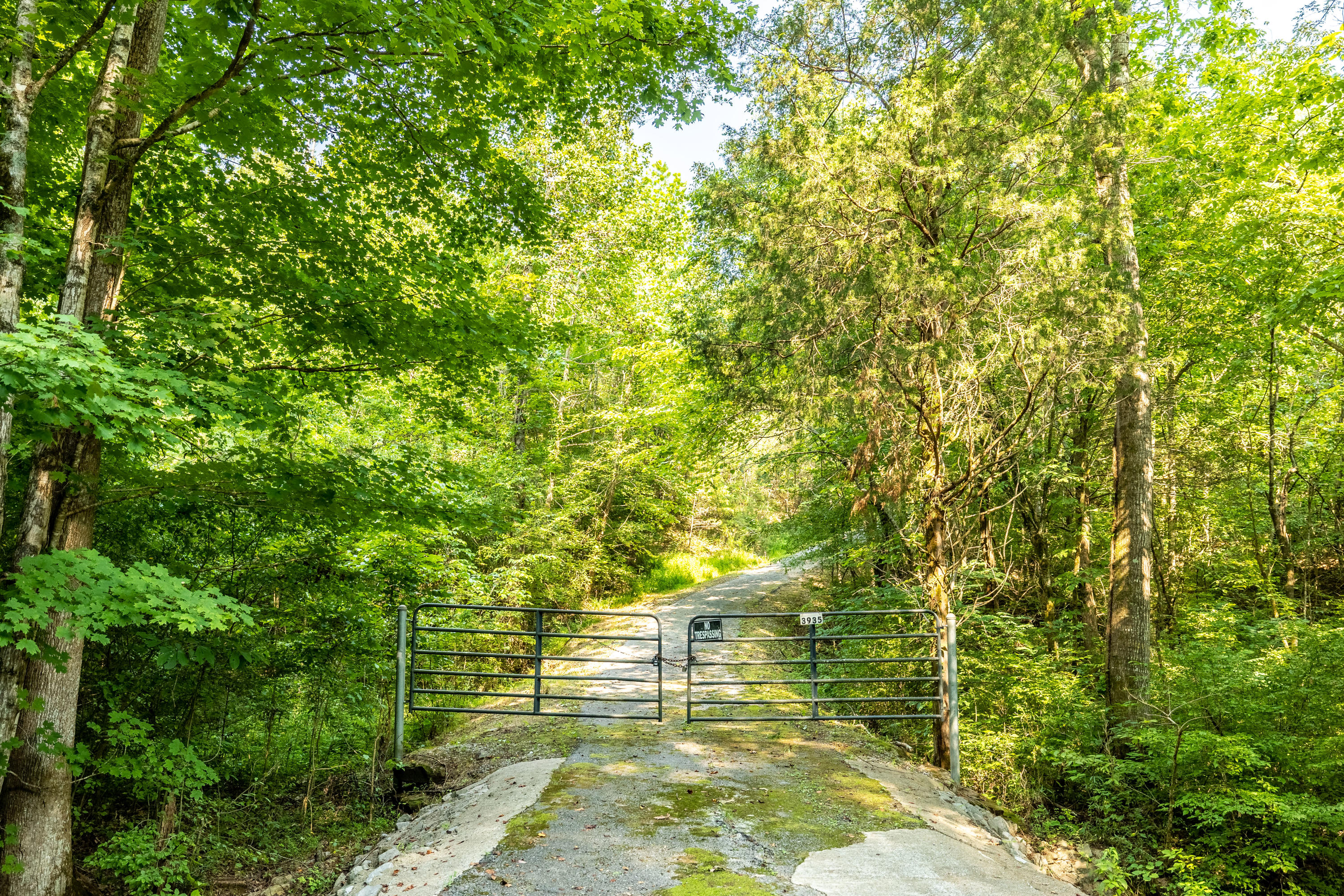 Allegheny Loop Rd Road Maryville, TN 37803 - Photo 8 of 40 6mile-41