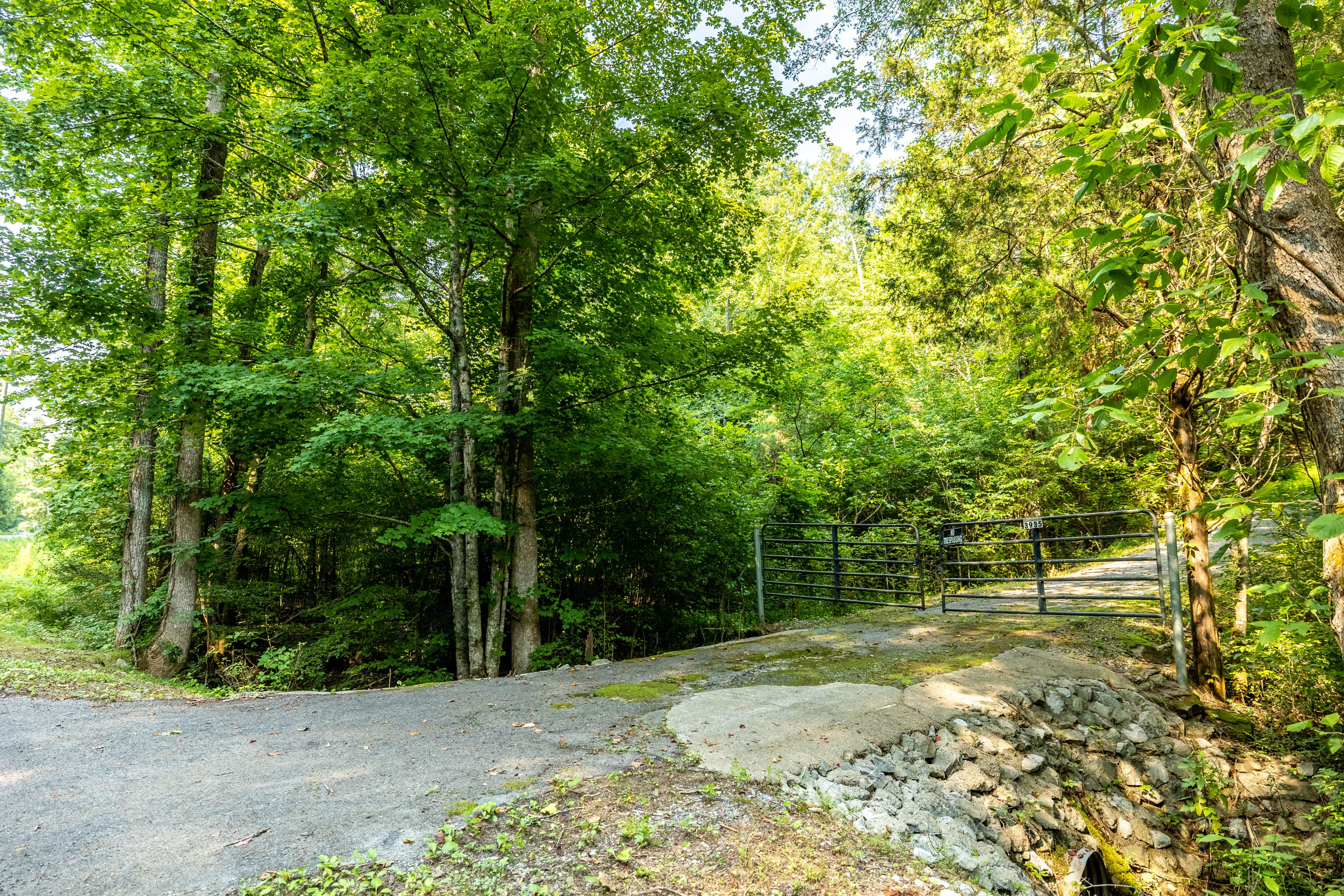 Allegheny Loop Rd Road Maryville, TN 37803 - Photo 9 of 40 6mile-40