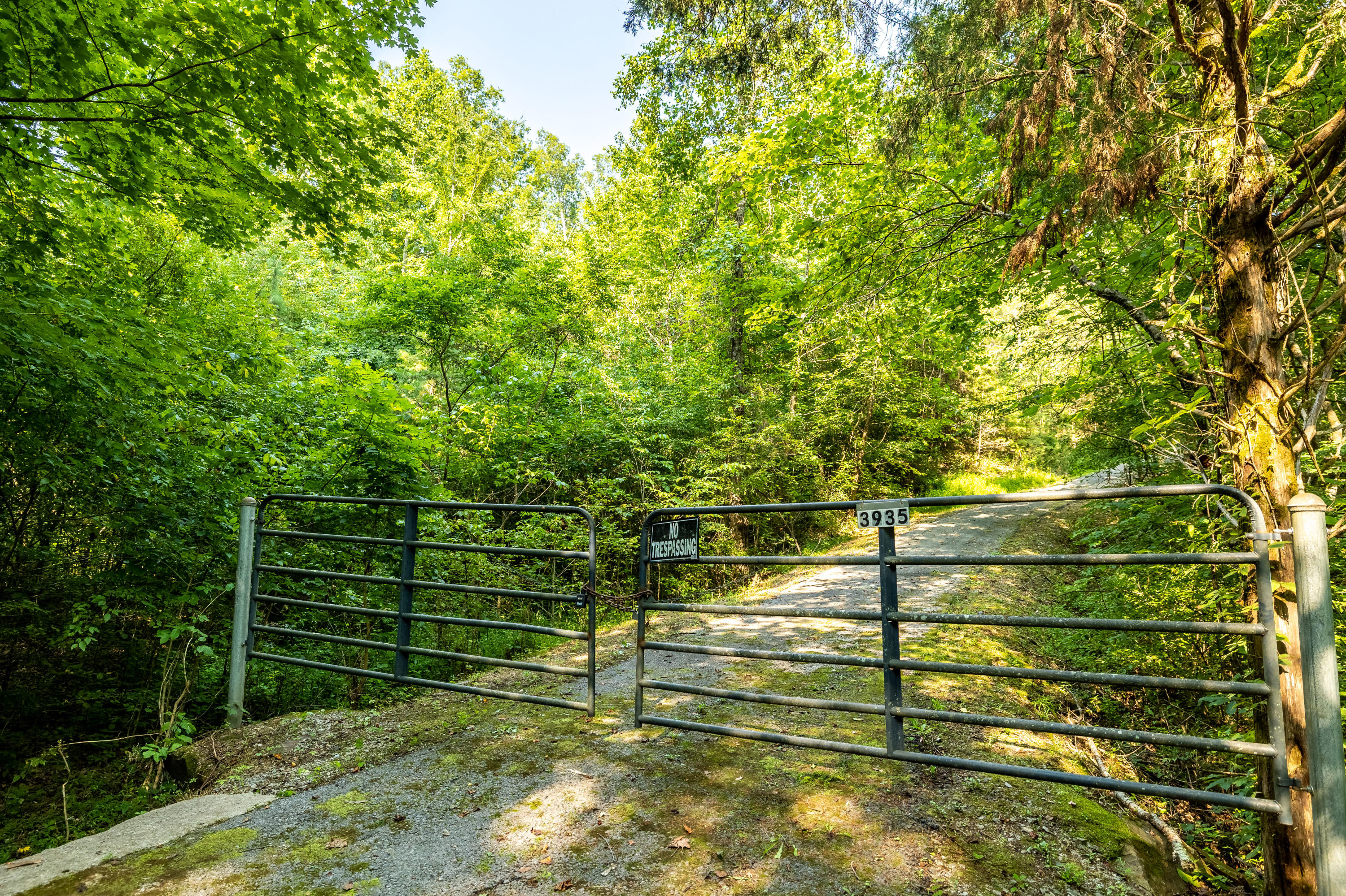 Allegheny Loop Rd Road Maryville, TN 37803 - Photo 10 of 40 6mile-39