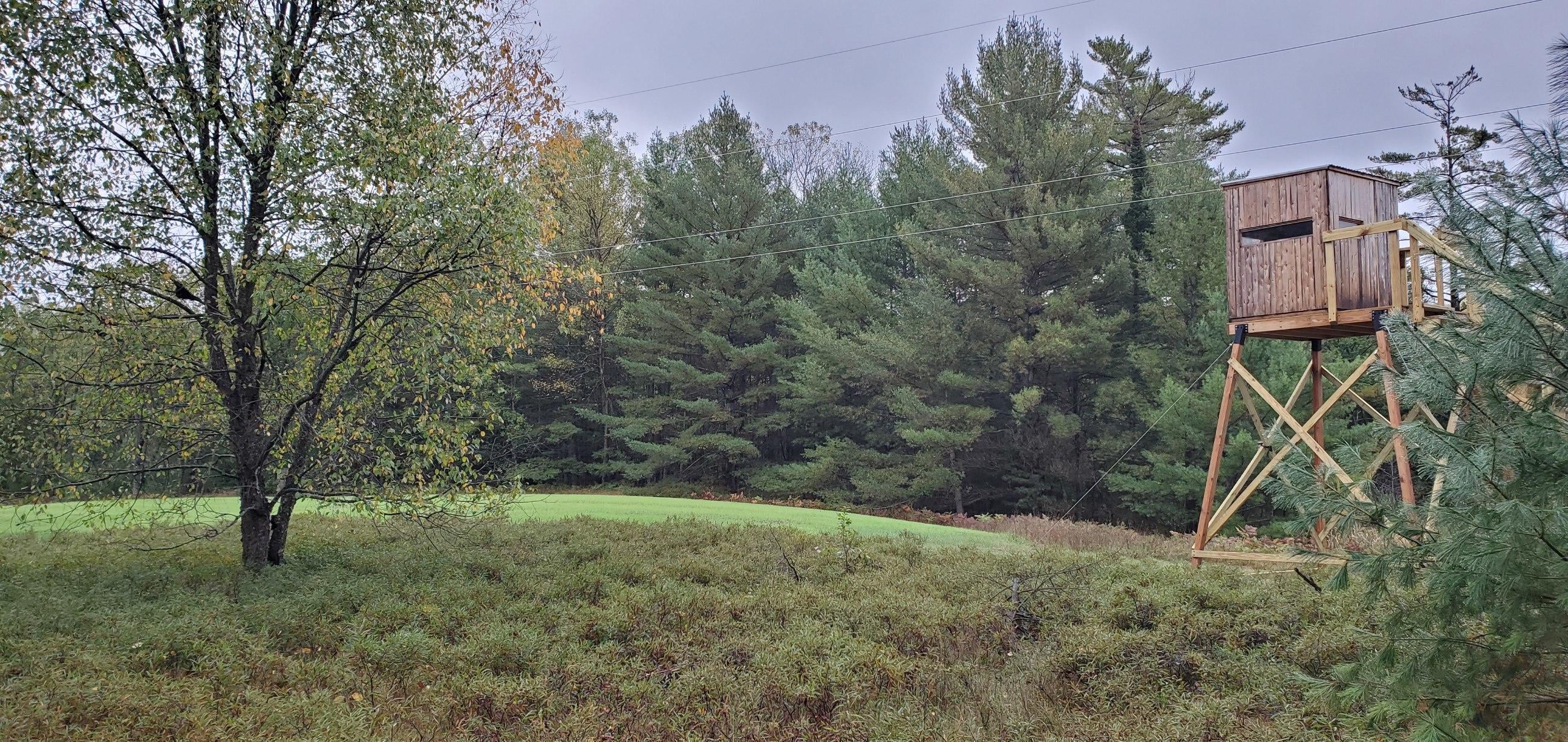 4428 North Abbe Road Comins, MI 48619 - Photo 29 of 39 Gallery Image 29