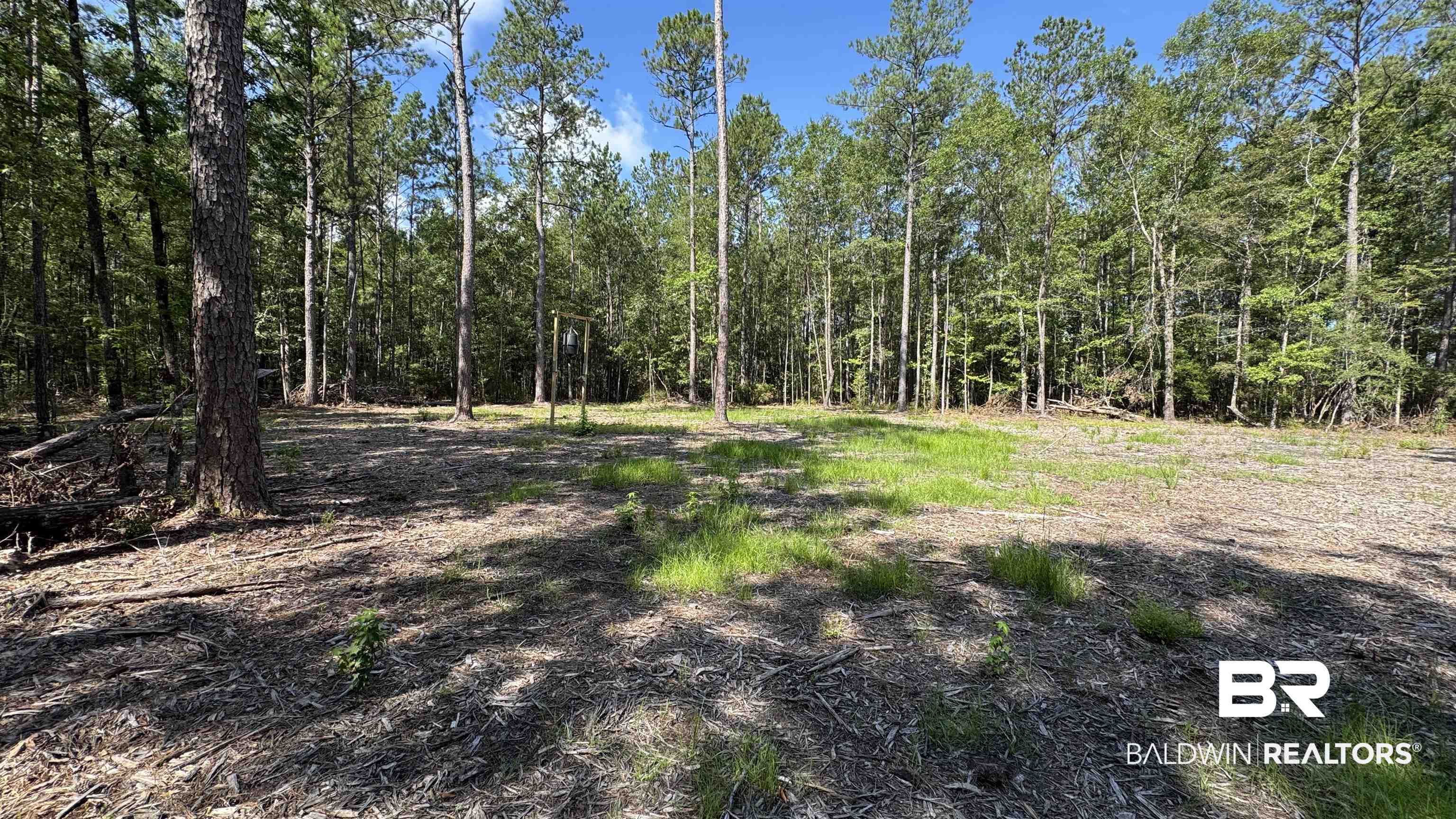 66409 James Road Stockton, AL 36579 - Photo 19 of 35