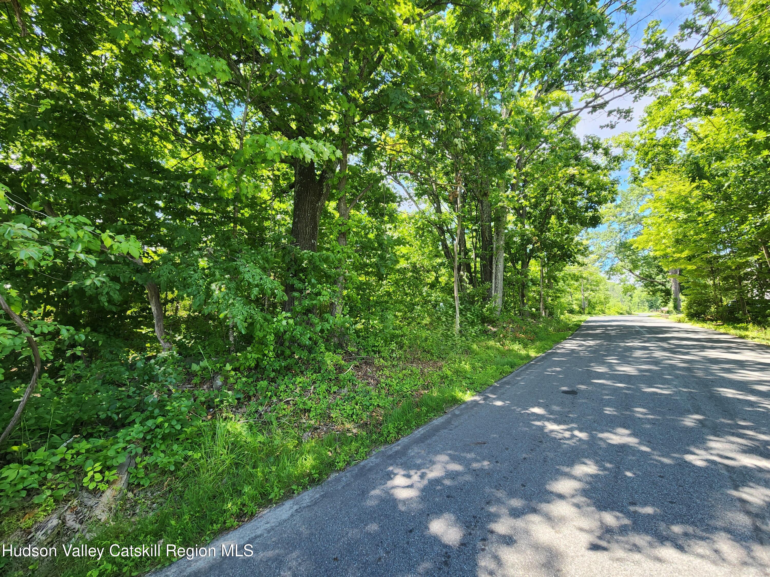 Tbd Irish Cape Road Ellenville, NY 12428 - Photo 1 of 16 a view of a street with a tree