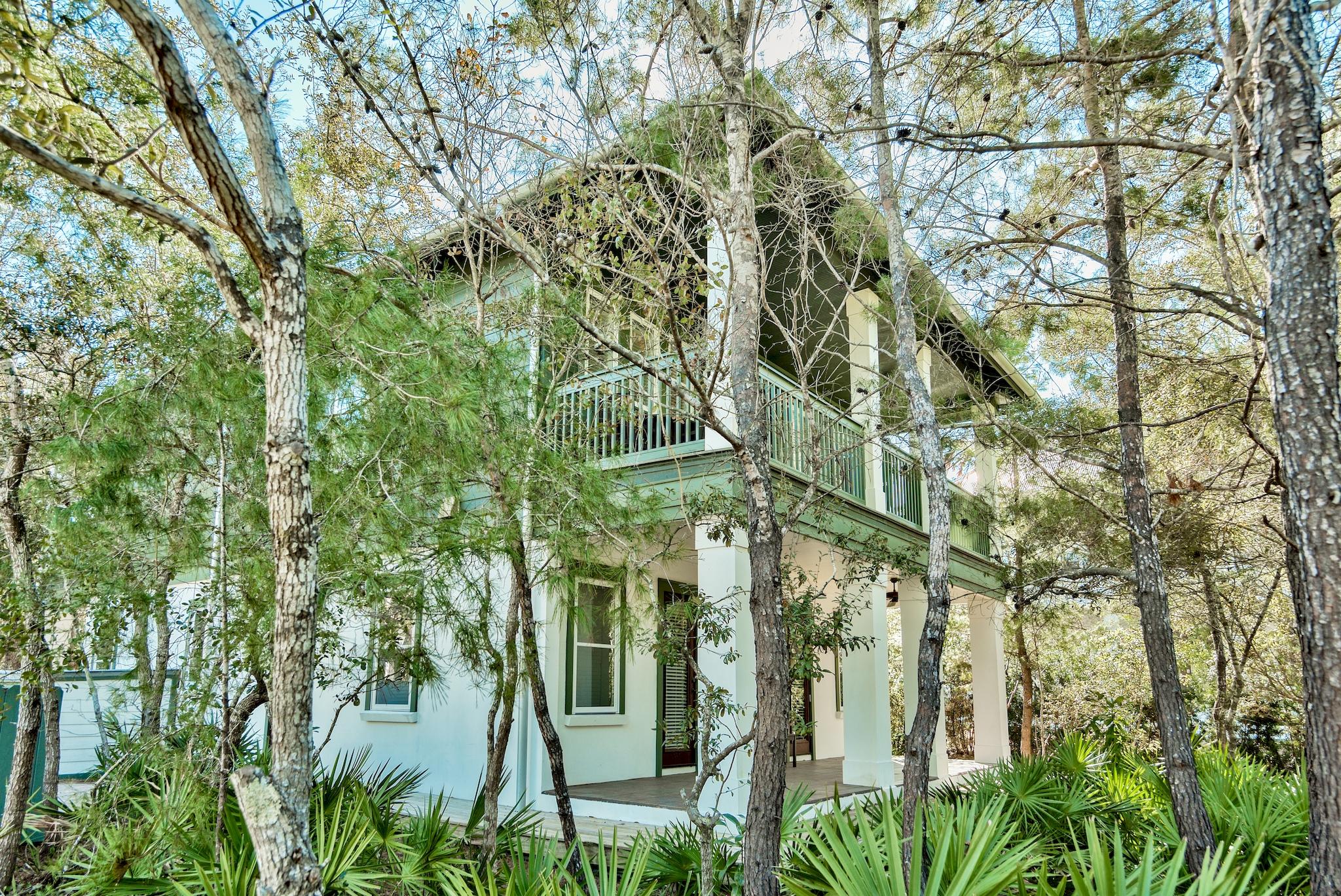 42 Pine Crest Circle Inlet Beach, FL 32461 - Photo 39 of 40 small_42 Pinecrest _15