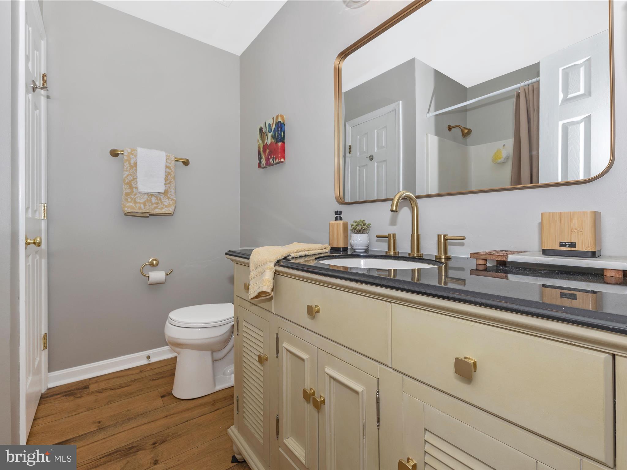 7319 Woodbine Road, Unit C Woodbine, MD 21797 - Photo 24 of 31 Bathroom