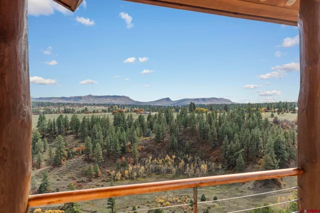 a view of a from a window