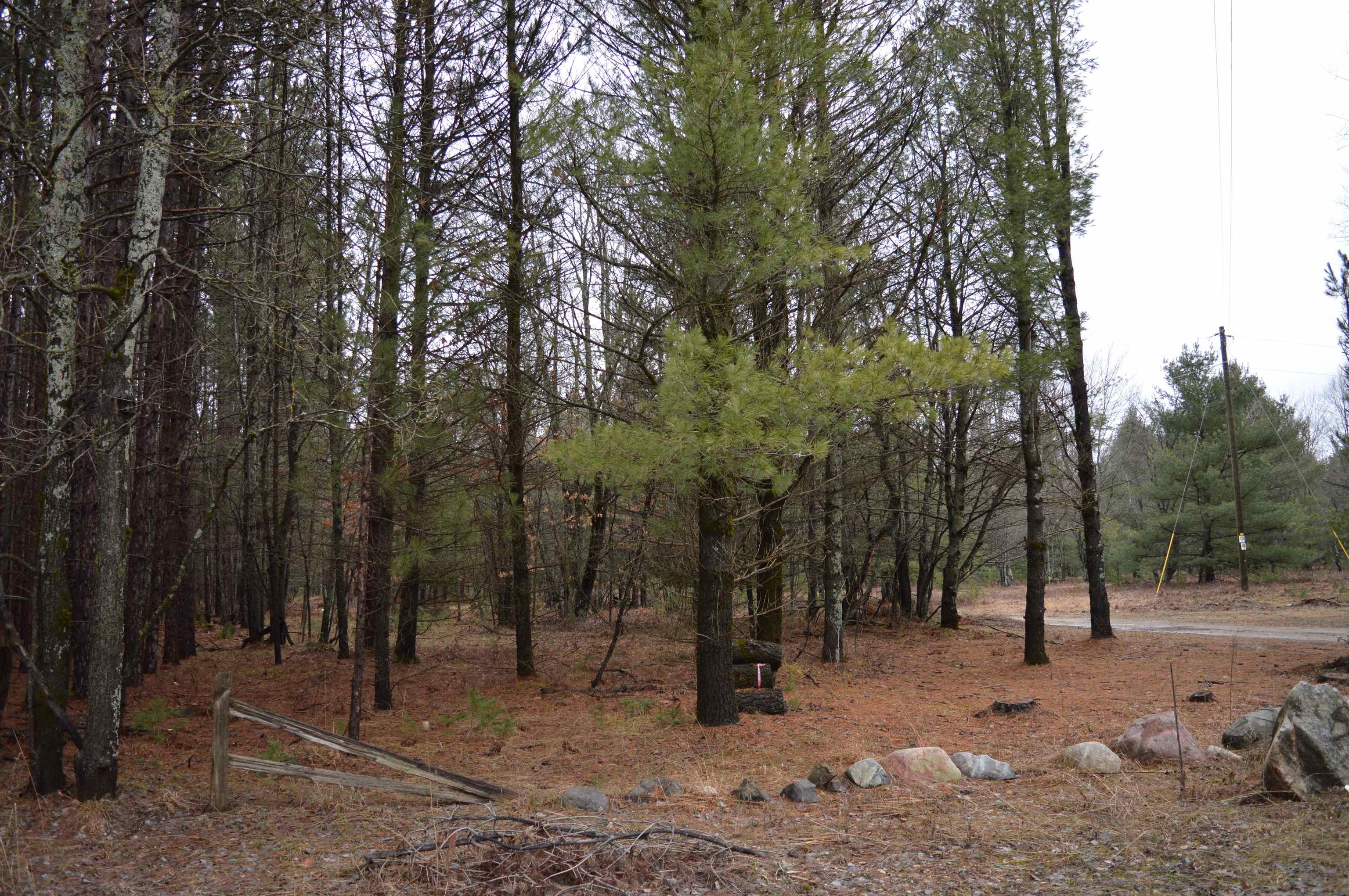 8766 Zubal Road Fife Lake, MI 49633 - Photo 13 of 30