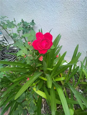 a front view of a house with a yard and fountain in middle