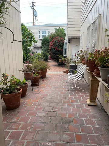 a view of a backyard with plants