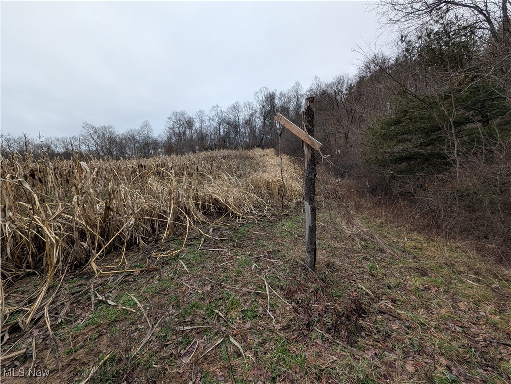 Brown Peavine Road Alledonia, OH 43902 - Photo 30 of 50