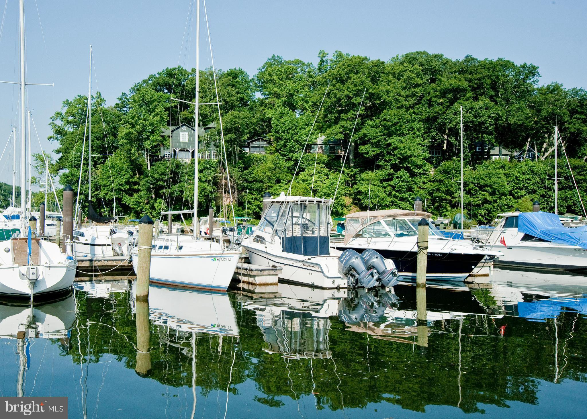 125 Friar Tuck Road Annapolis, MD 21405 - Photo 23 of 29 Community Marina