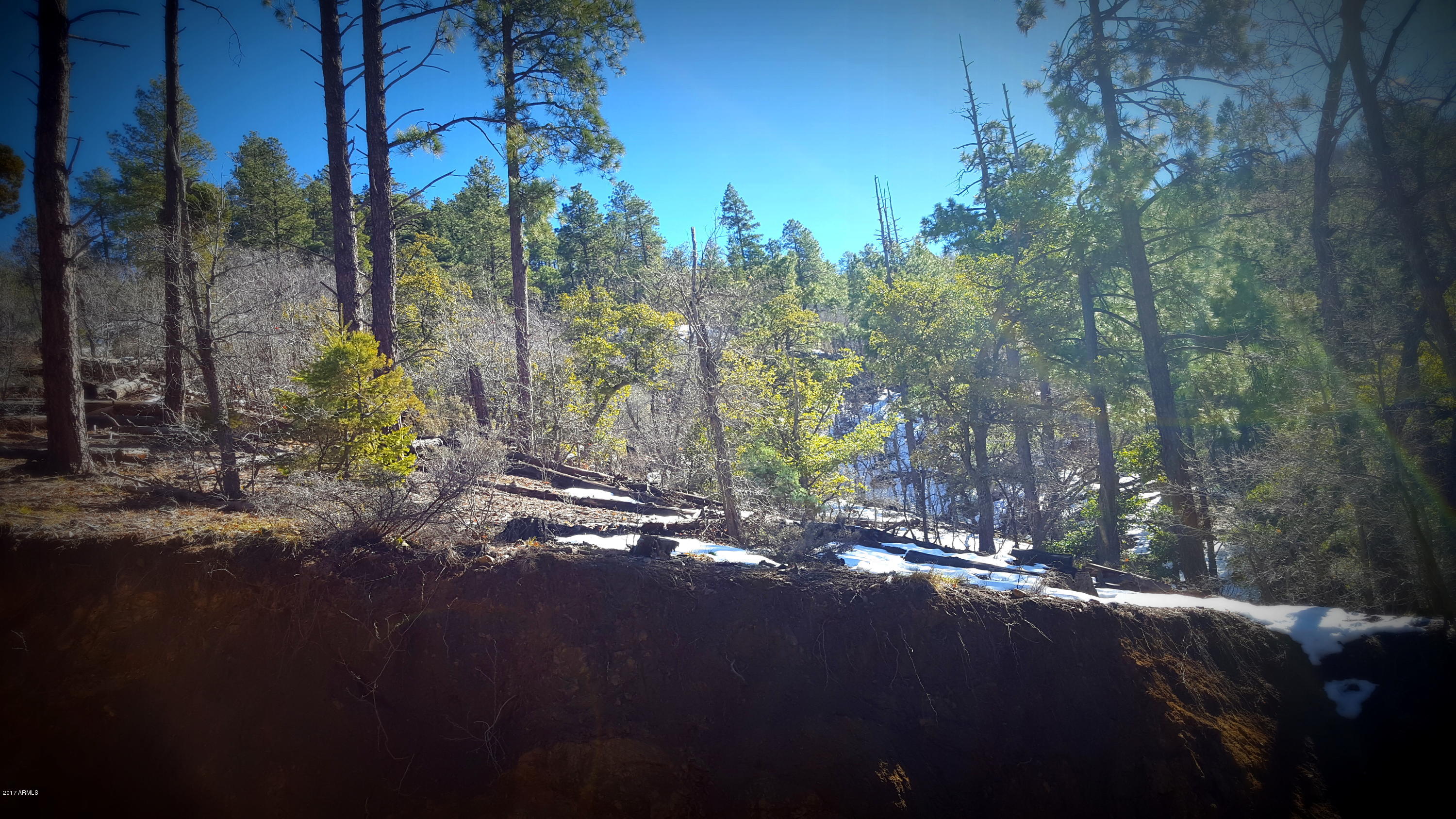 0 South Breezy Pine Road Mayer, AZ 86333 - Photo 1 of 30 20170208_120704