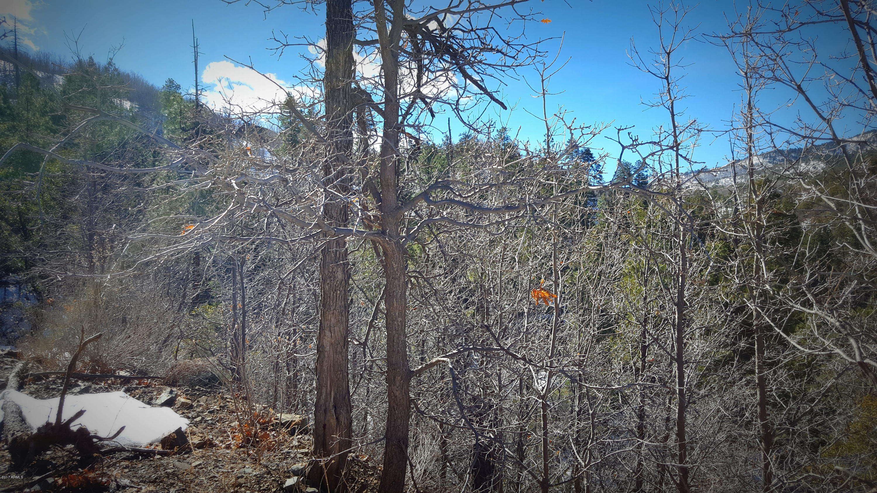 0 South Breezy Pine Road Mayer, AZ 86333 - Photo 14 of 30 20170208_120941