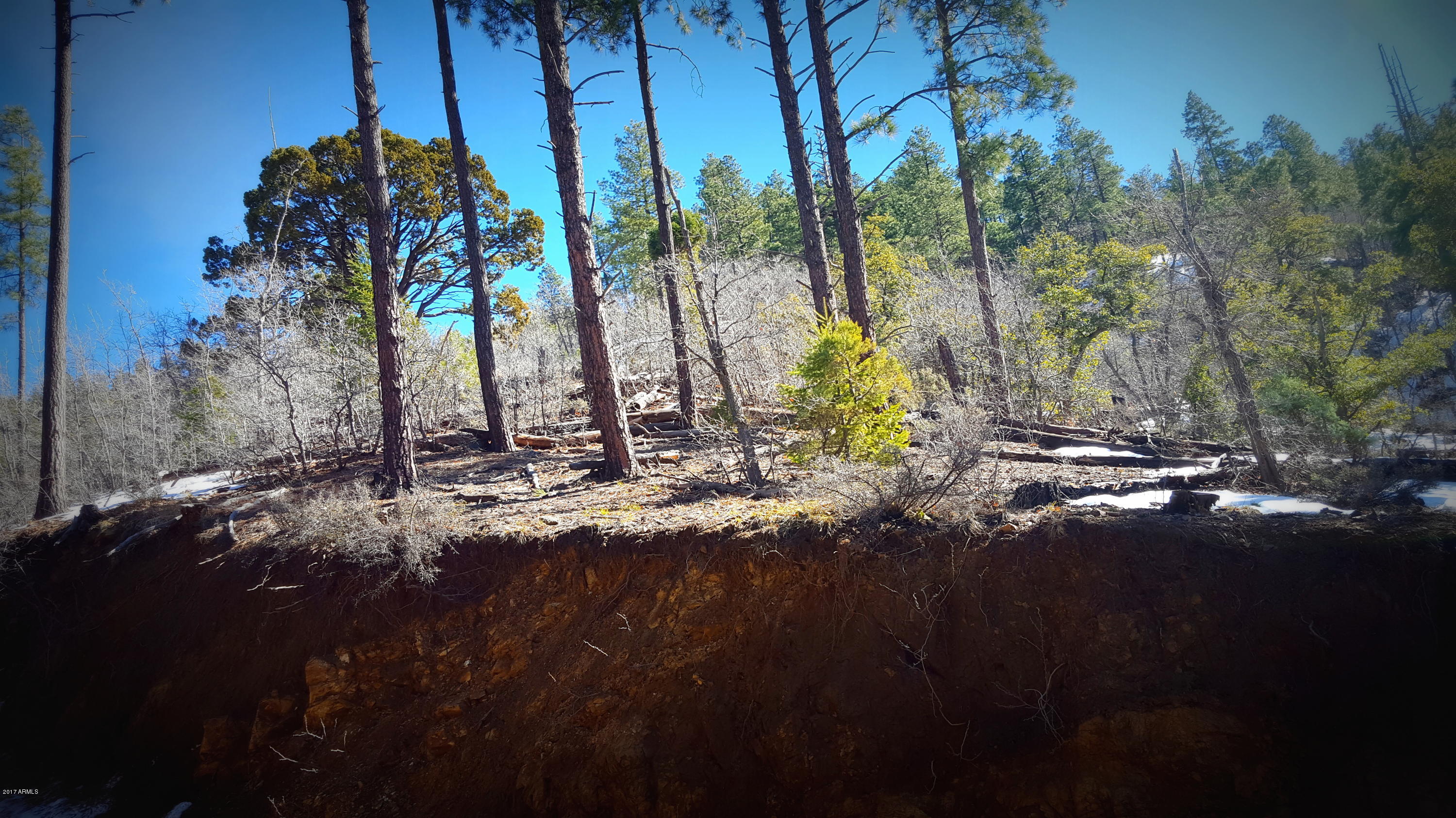 0 South Breezy Pine Road Mayer, AZ 86333 - Photo 3 of 30 20170208_120707