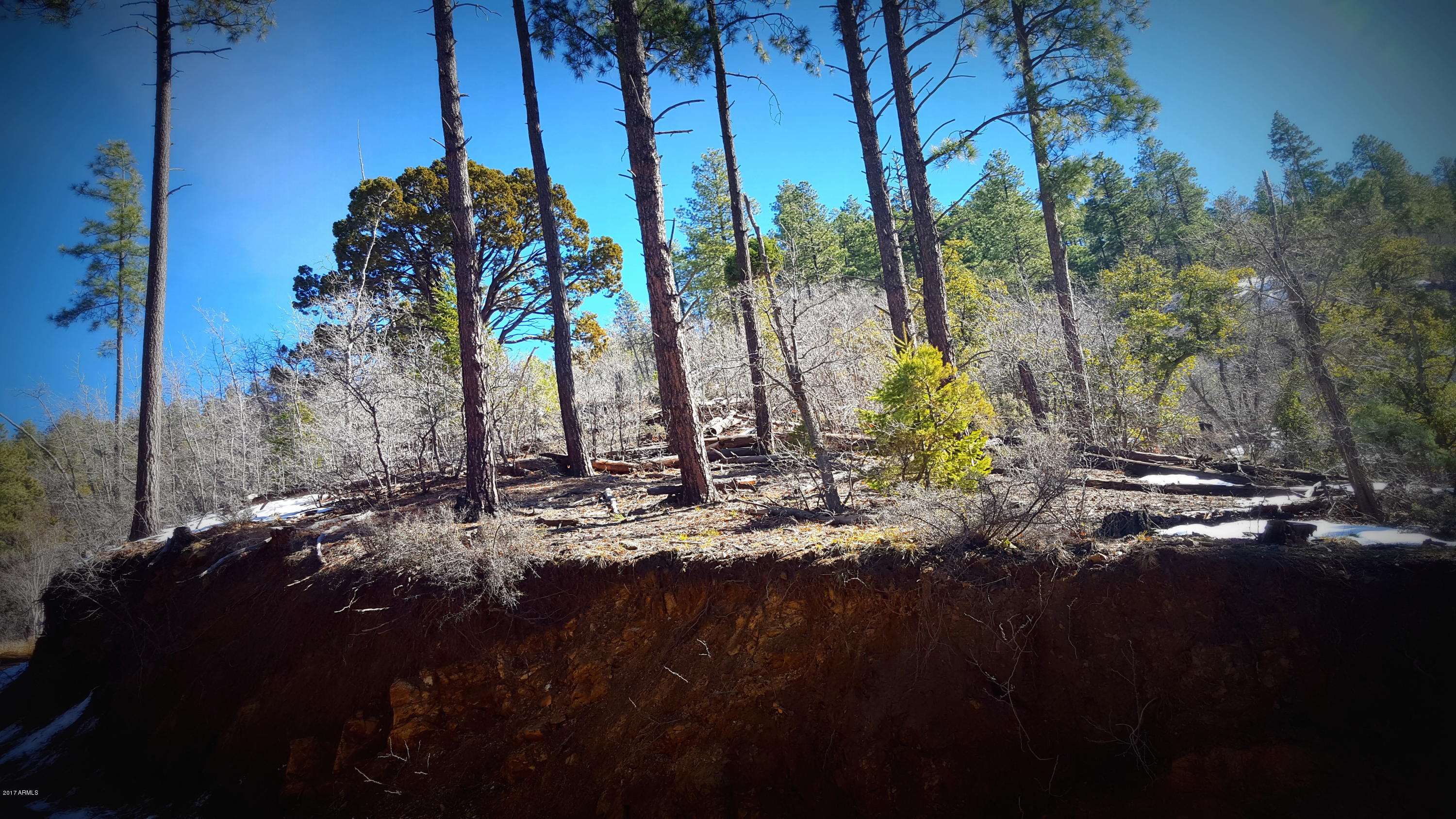0 South Breezy Pine Road Mayer, AZ 86333 - Photo 4 of 30 20170208_120711
