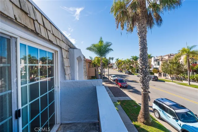 a city street with tall trees
