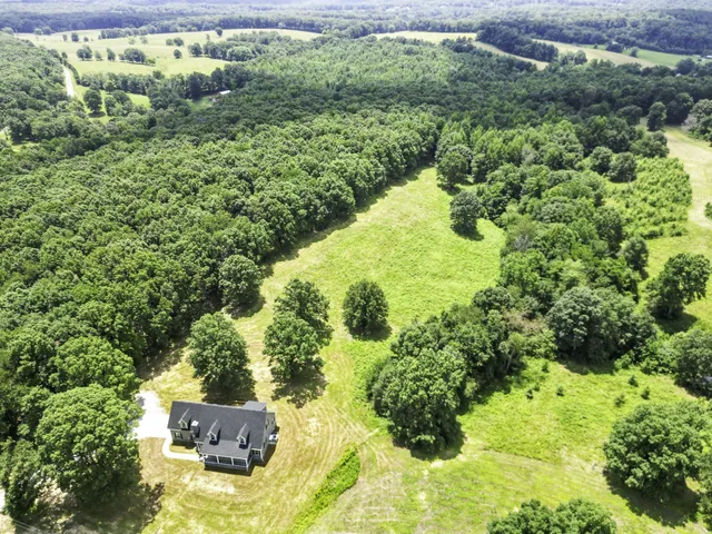 a view of a garden with a fountain