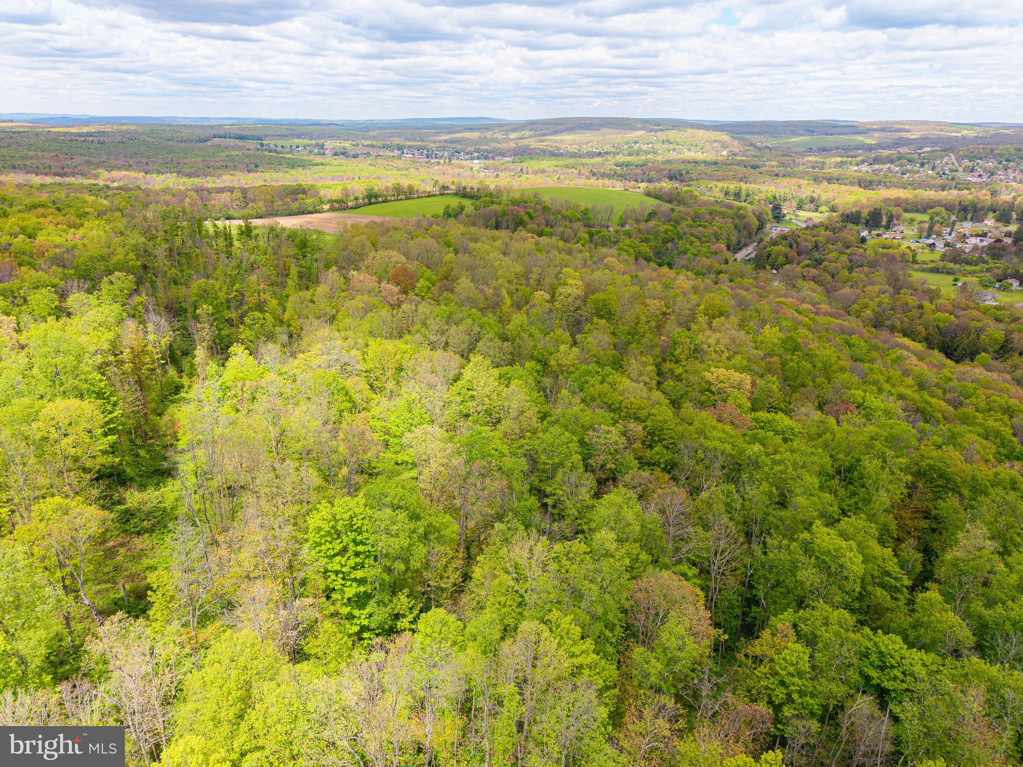 216 Rock Cut Road Central City, PA 15926 - Photo 10 of 23