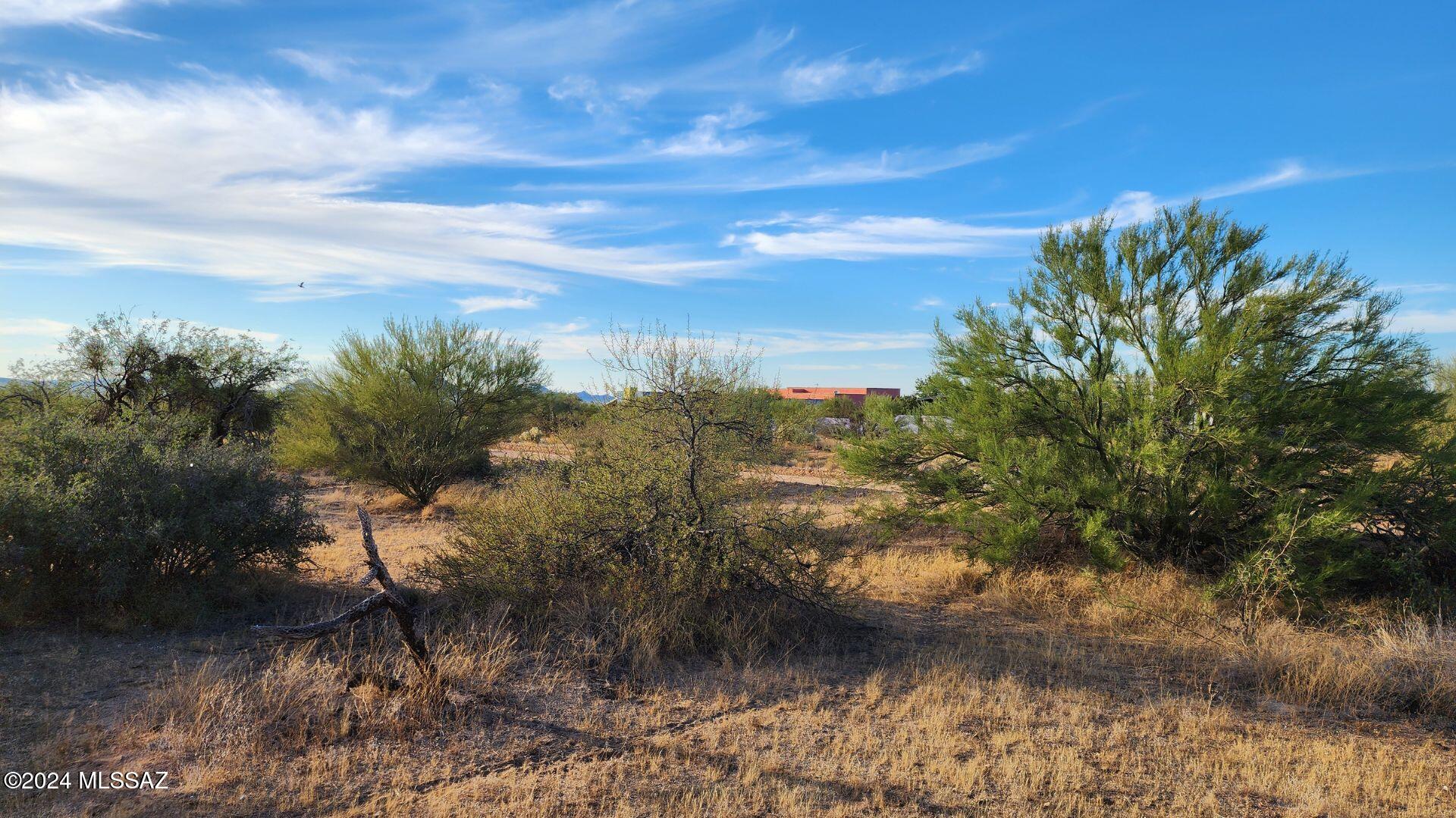 16155 West Ravinia Avenue Tucson, AZ 85736 - Photo 4 of 10 Gallery Image 4