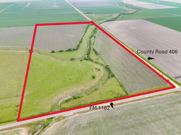 a close up of a park