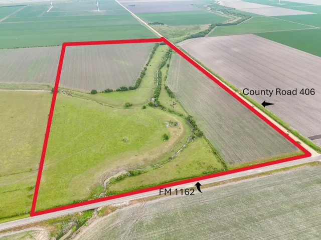 a close up of a park