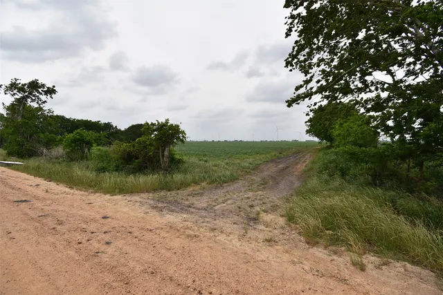 a view of a lake with a big yard
