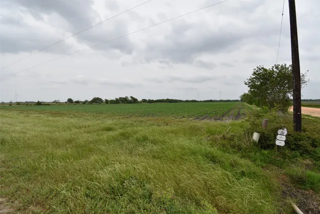 a view of a green field with lots of bushes