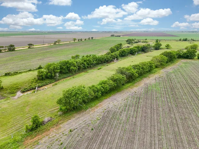 a view of a big yard with lots of green space