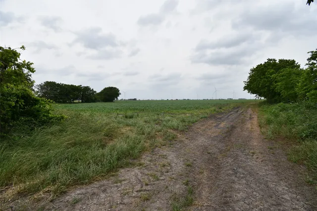 a view of a field with an trees in the background