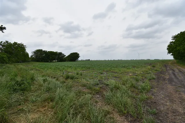 a view of a road with a yard in back