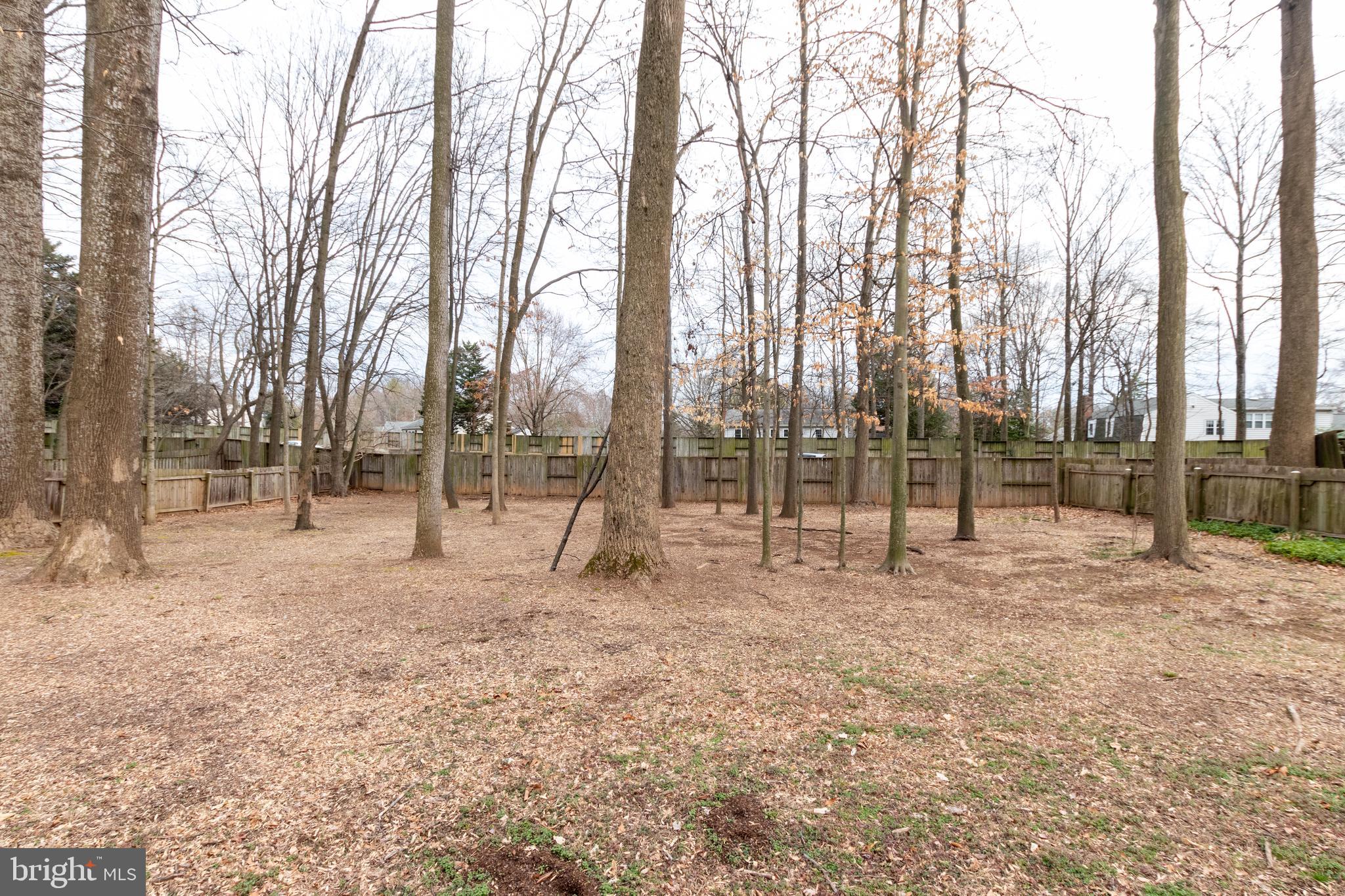 9309 Raintree Road Burke, VA 22015 - Photo 85 of 88 Gallery Image 85