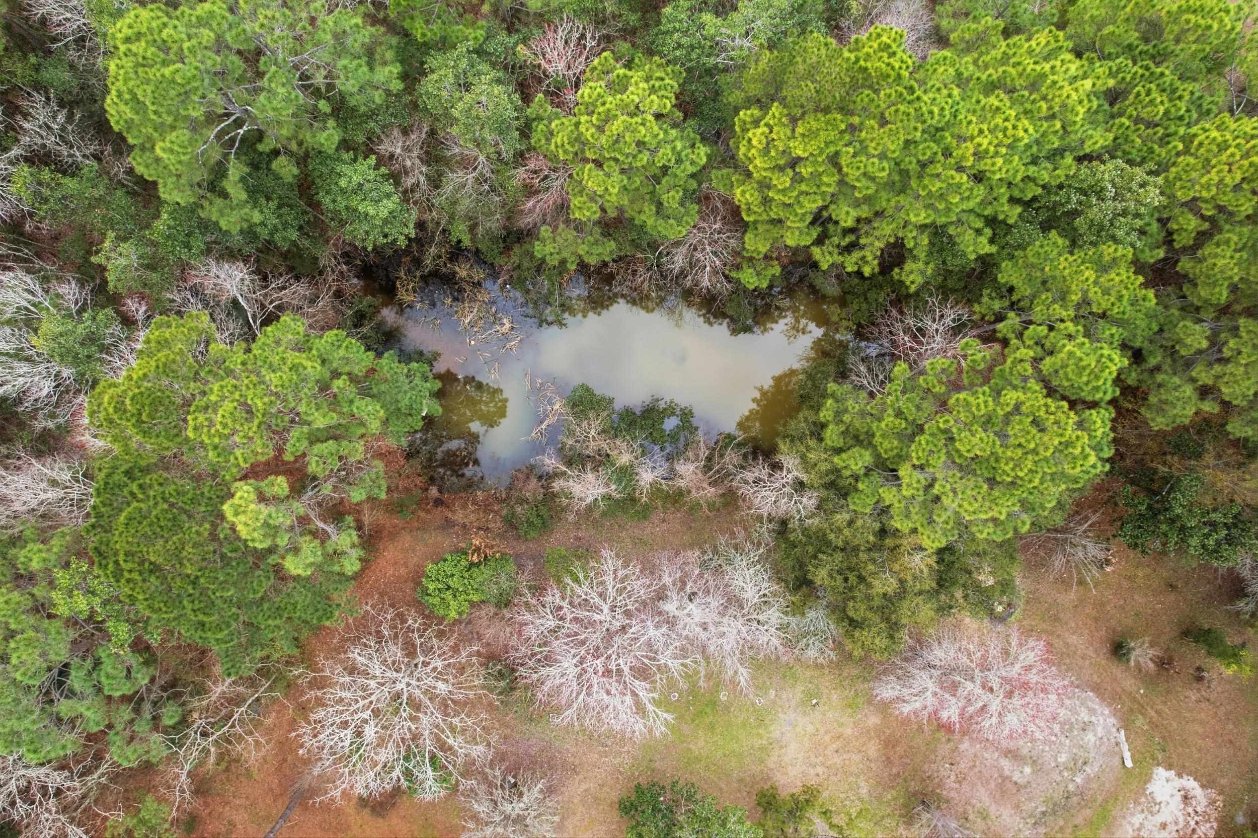 137 Dickson Bay Road Panacea, FL 32346 - Photo 33 of 45