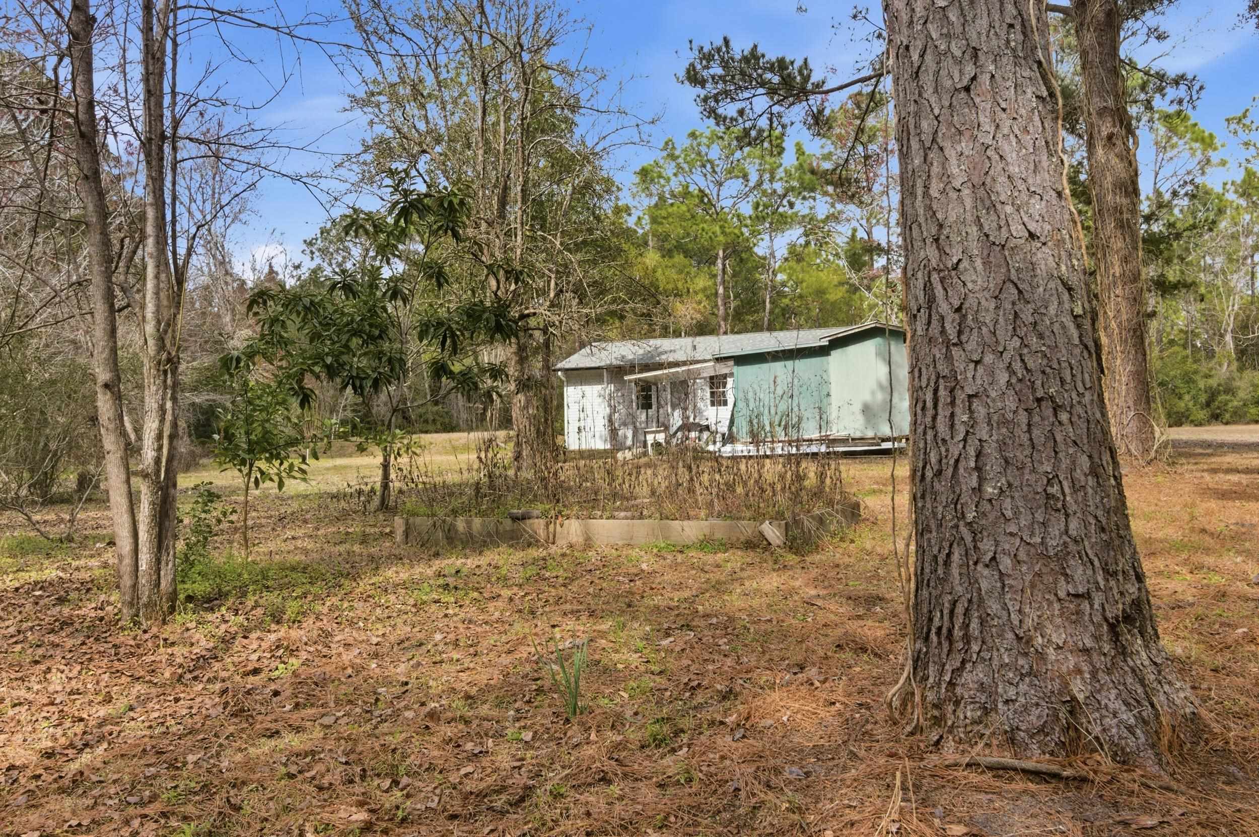 137 Dickson Bay Road Panacea, FL 32346 - Photo 36 of 45