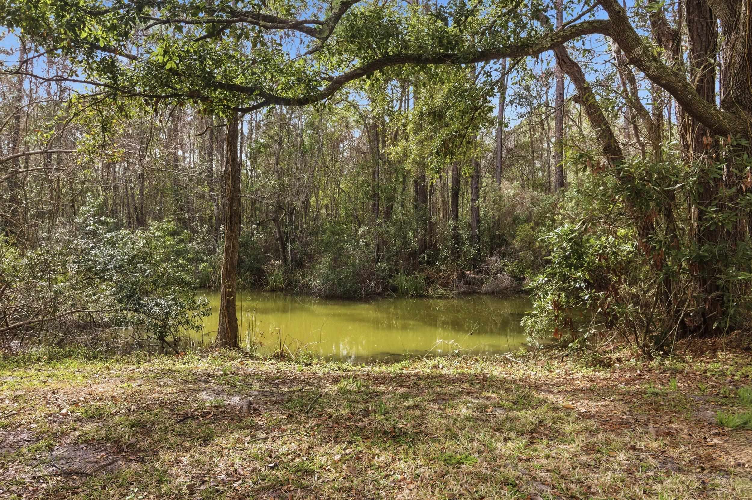 137 Dickson Bay Road Panacea, FL 32346 - Photo 39 of 45