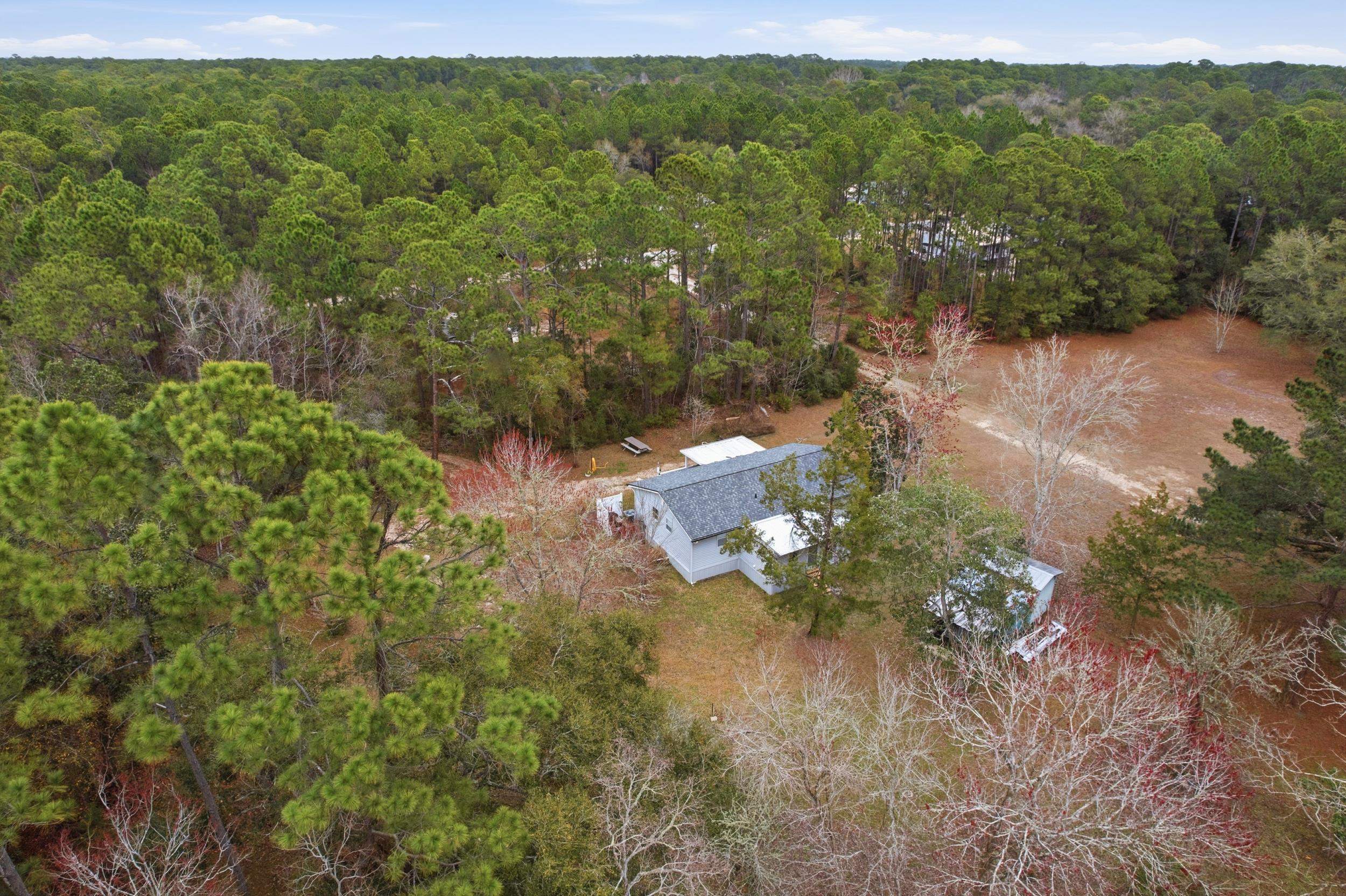 137 Dickson Bay Road Panacea, FL 32346 - Photo 43 of 45