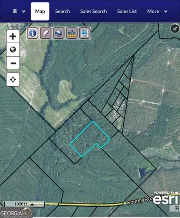 $60,000 | 20-ac North Hope Church & Rt 149, Scotland, GA 31083