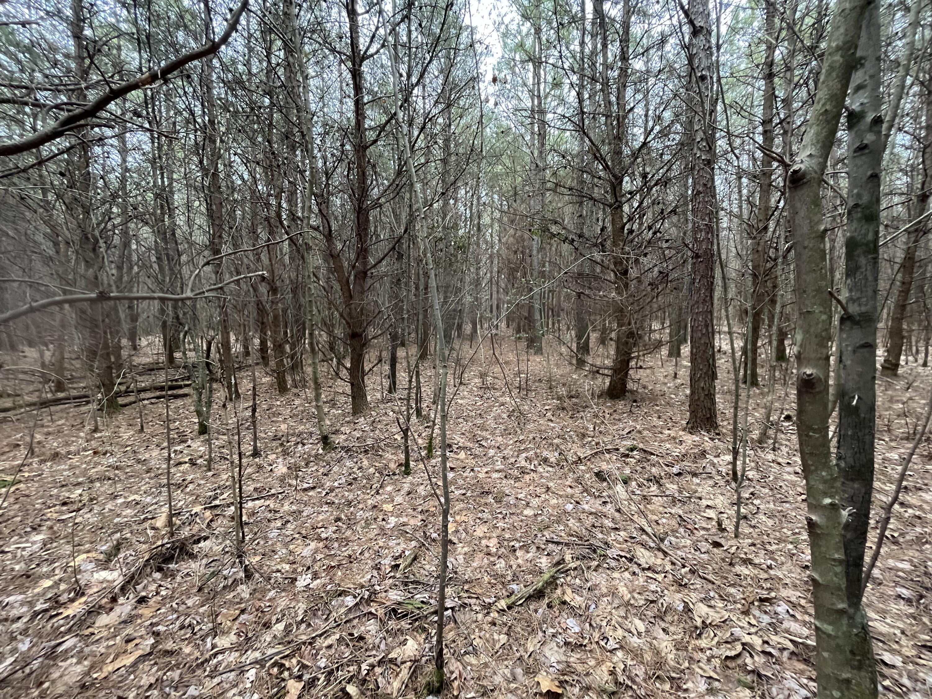 2 Coca-Cola Road Dunlap, TN 37327 - Photo 21 of 30 Photo Feb 20 2023, 12 55 50 PM