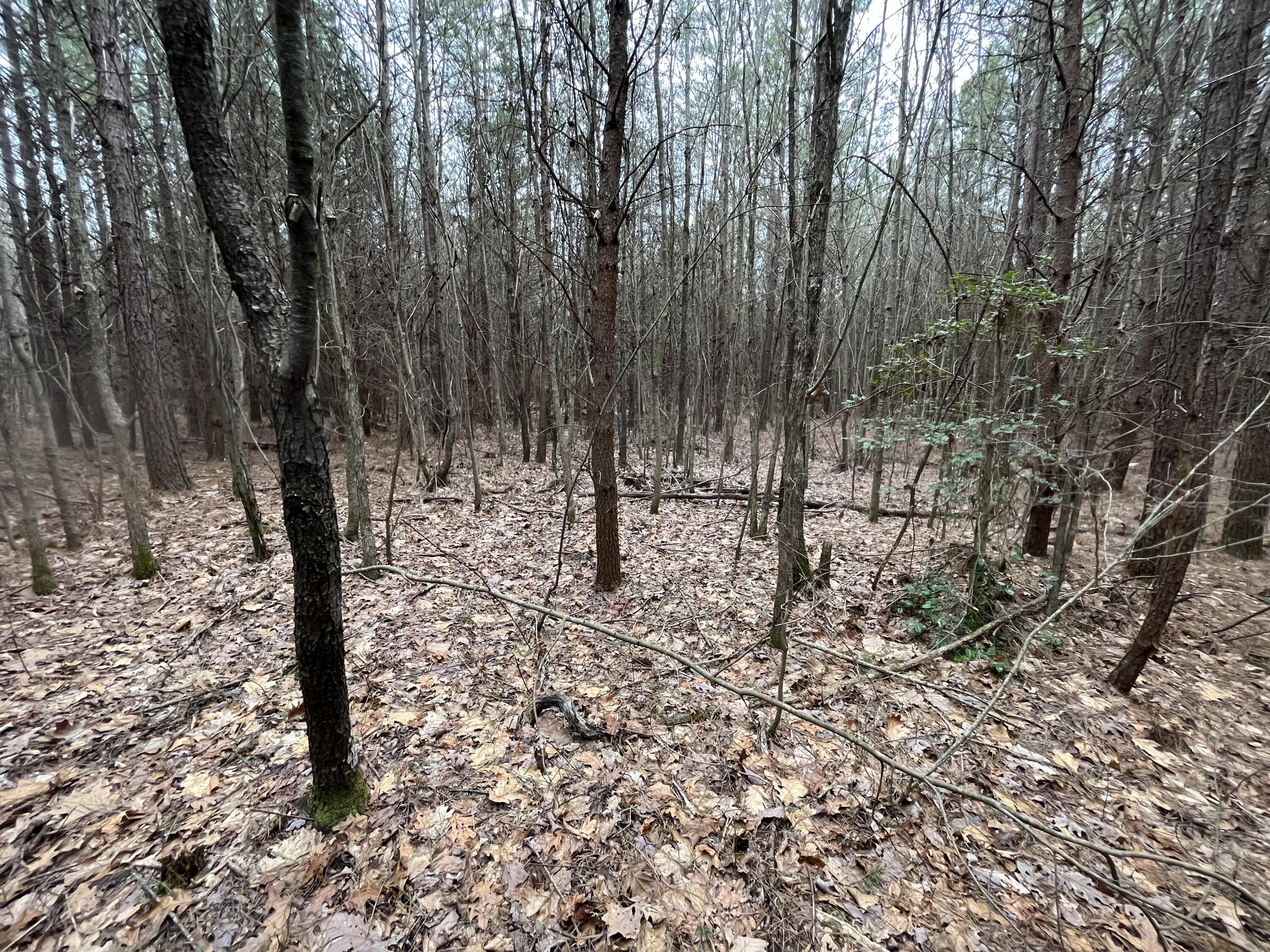 2 Coca-Cola Road Dunlap, TN 37327 - Photo 22 of 30 Photo Feb 20 2023, 12 56 27 PM