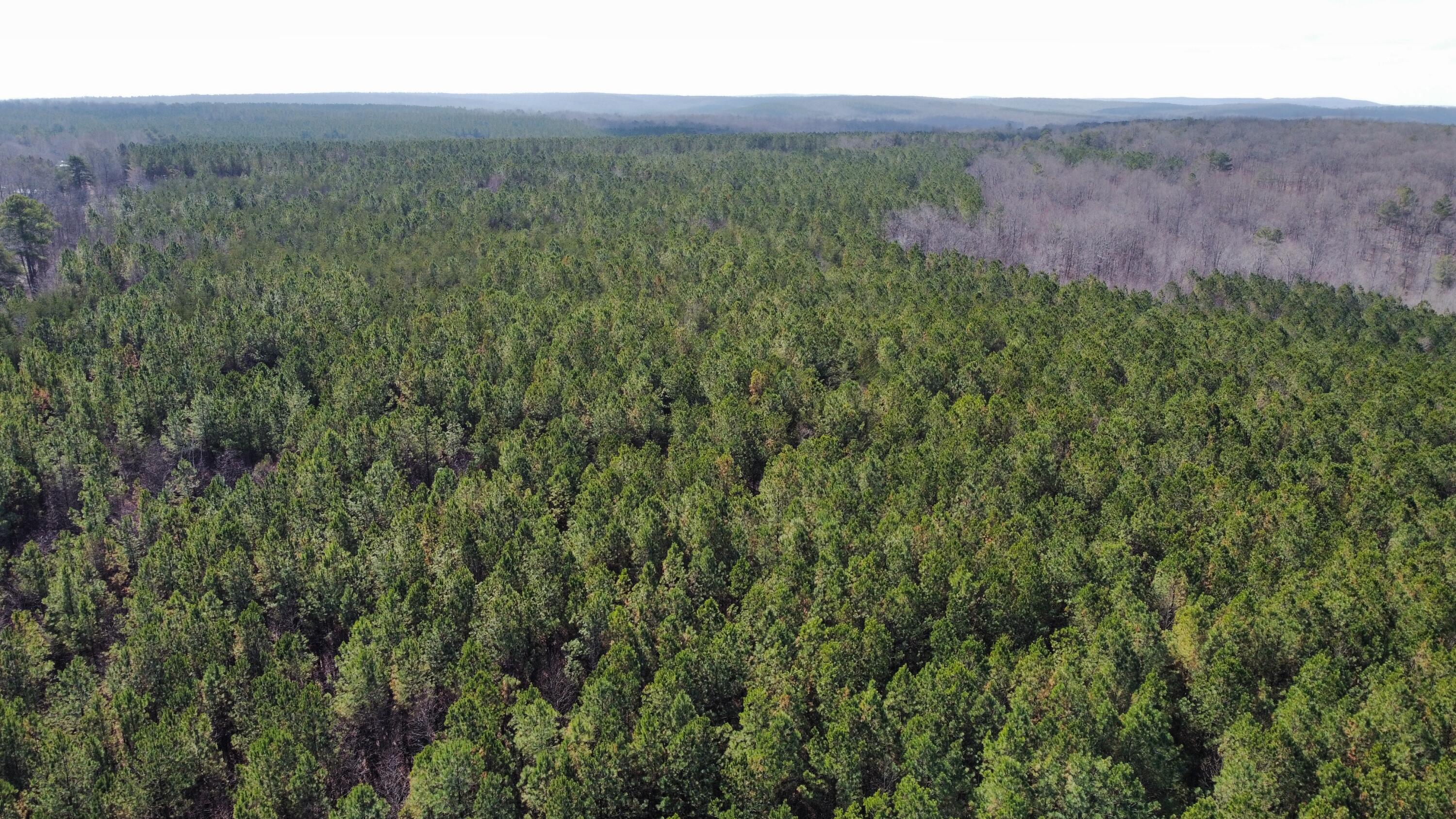 2 Coca-Cola Road Dunlap, TN 37327 - Photo 26 of 30 dji_fly_20230222_113418_882_167708730227