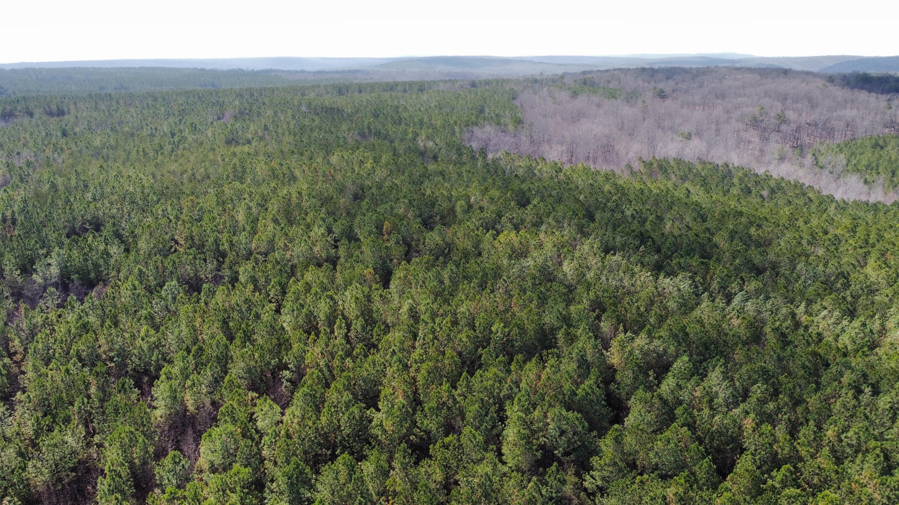 2 Coca-Cola Road Dunlap, TN 37327 - Photo 30 of 30 dji_fly_20230222_113504_889_167708732643