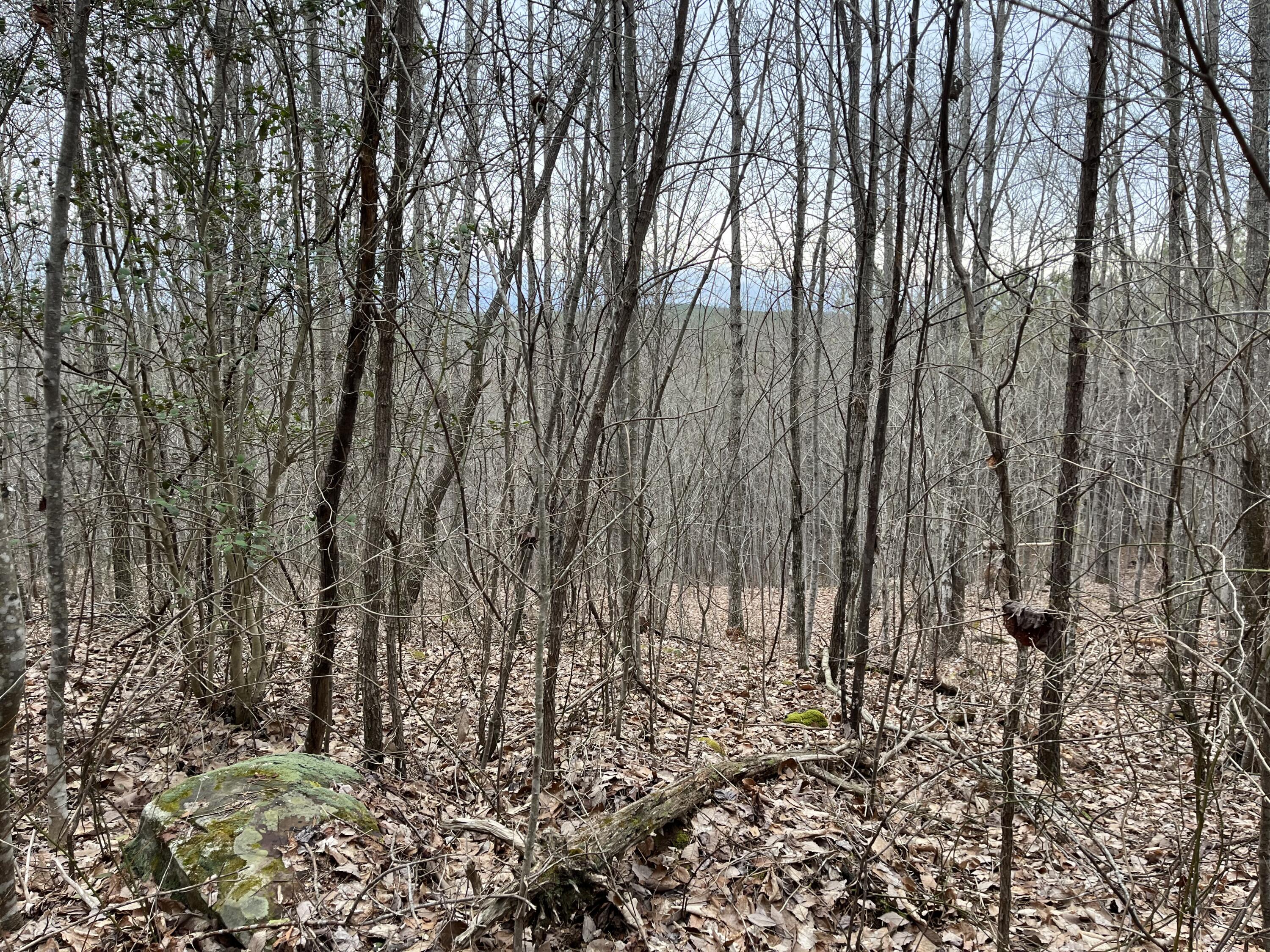 2 Coca-Cola Road Dunlap, TN 37327 - Photo 3 of 30 Photo Feb 20 2023, 12 51 06 PM