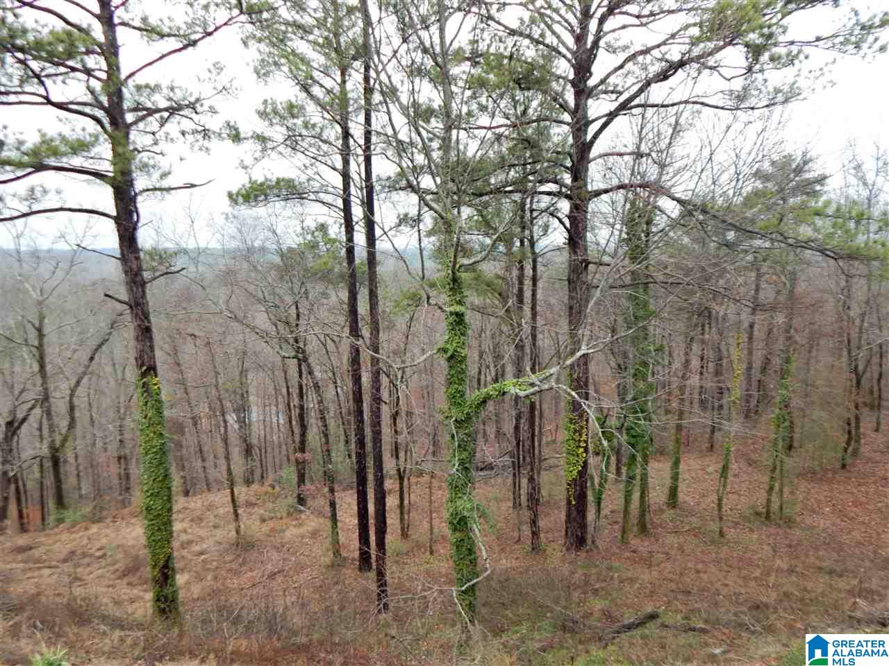 4012 Pawnee Rosa Drive Birmingham, AL 35217 - Photo 8 of 31
