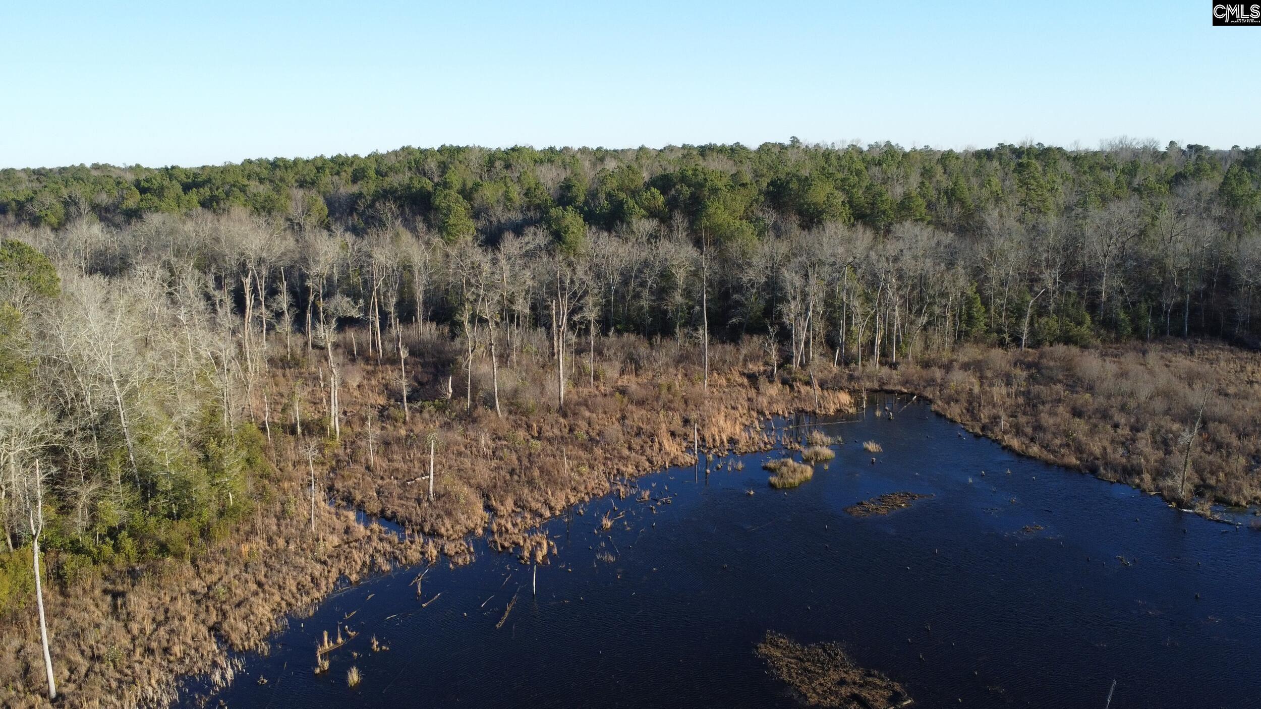 Tbd Tbd Millers Pond Road Salley, SC 29137 - Photo 18 of 20