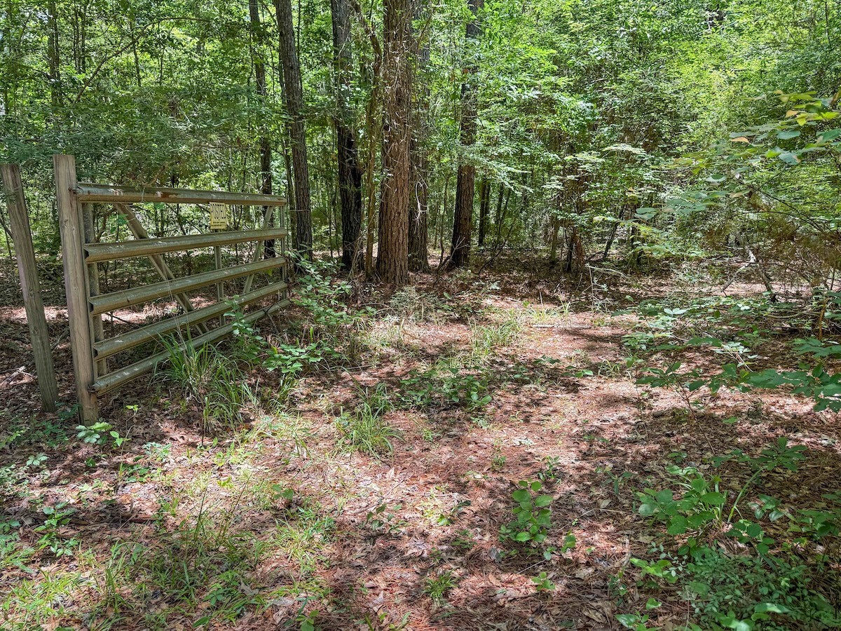 Tbd Hickman Road Burkeville, TX 75932 - Photo 41 of 45