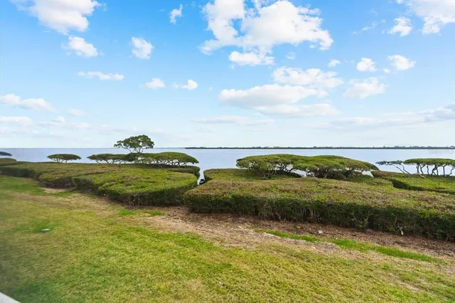 a view of a water pond with green space