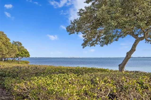 a view of an ocean beach