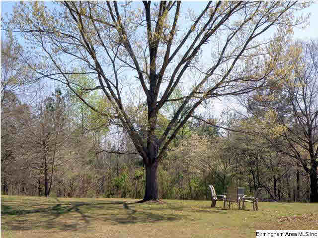 234 Tumblin Road Warrior, AL 35180 - Photo 11 of 32
