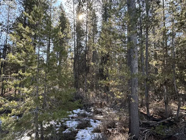 $18,000 | Keyser Circle, Unit 29, Chiloquin, OR 97624