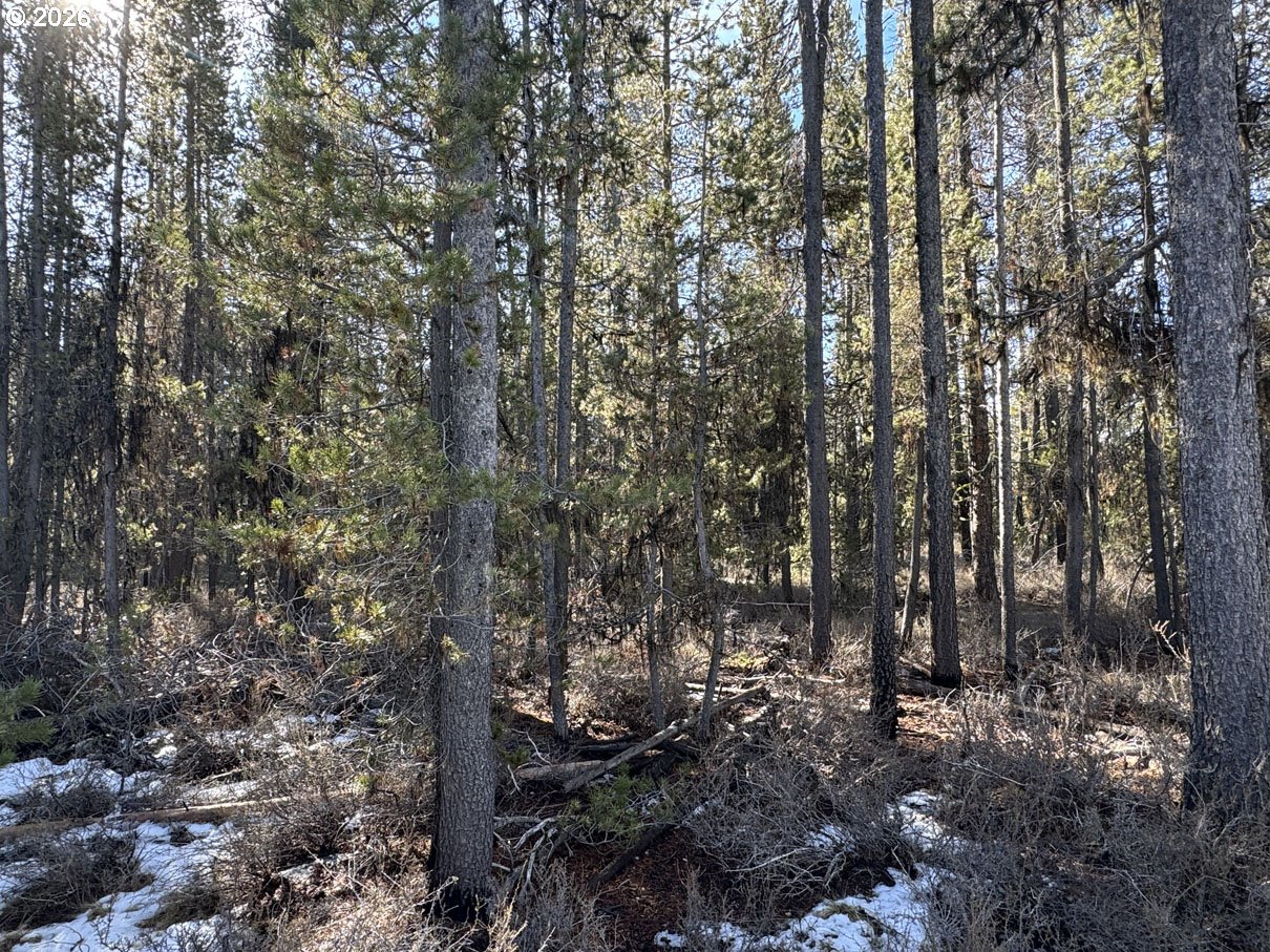 Keyser Circle, Unit 29 Chiloquin, OR 97624 - Photo 12 of 32