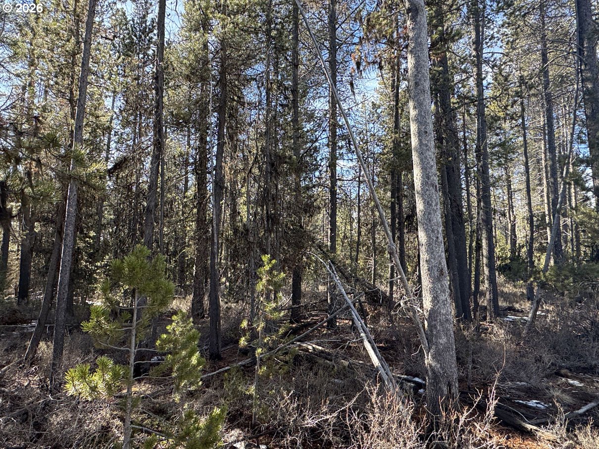 Keyser Circle, Unit 29 Chiloquin, OR 97624 - Photo 15 of 32