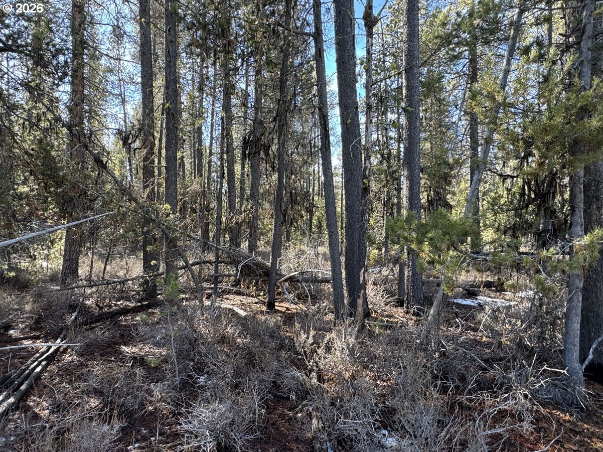 Keyser Circle, Unit 29 Chiloquin, OR 97624 - Photo 22 of 32